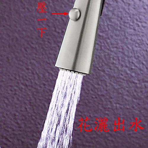 80195A1 不銹鋼伸縮龍頭-0